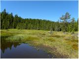 Tiho jezero (Falski ribnik)